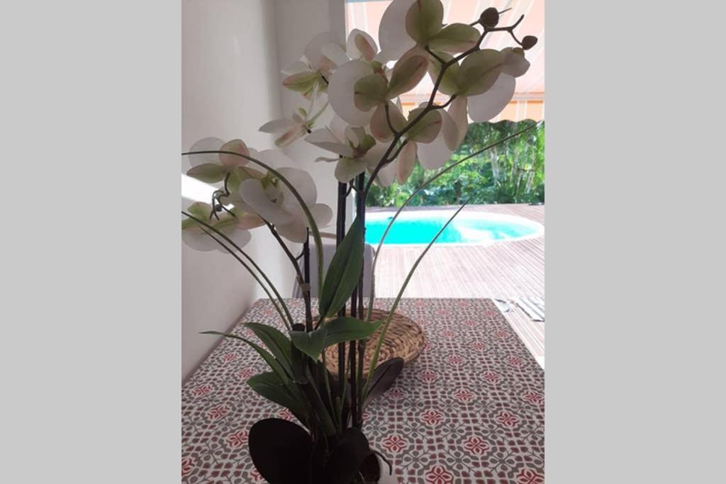 דירות פטי-בור Les Orchidees מראה חיצוני תמונה
